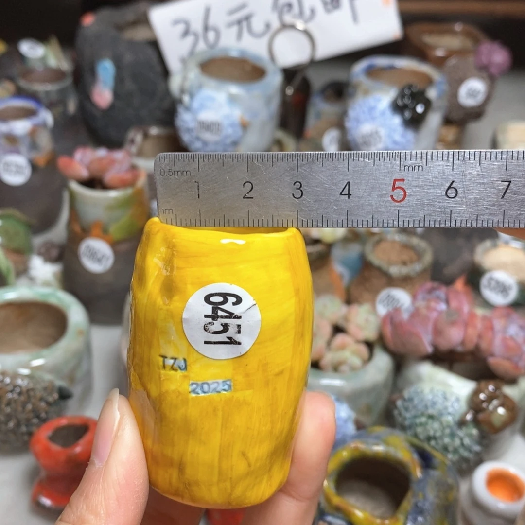 处理的，不退不换的