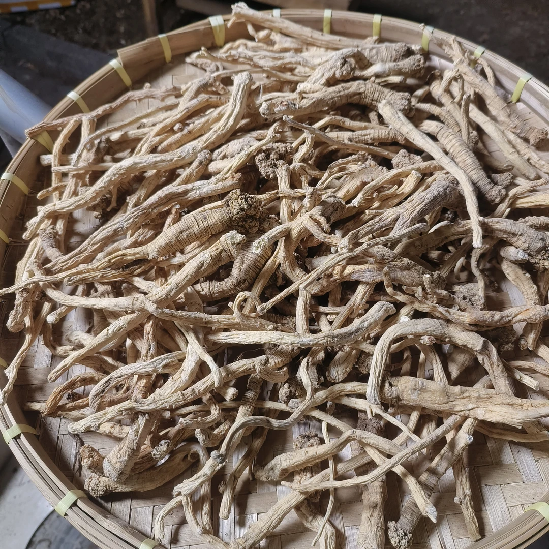 狮子头藏党参西藏波密卓龙沟高原山货中小号