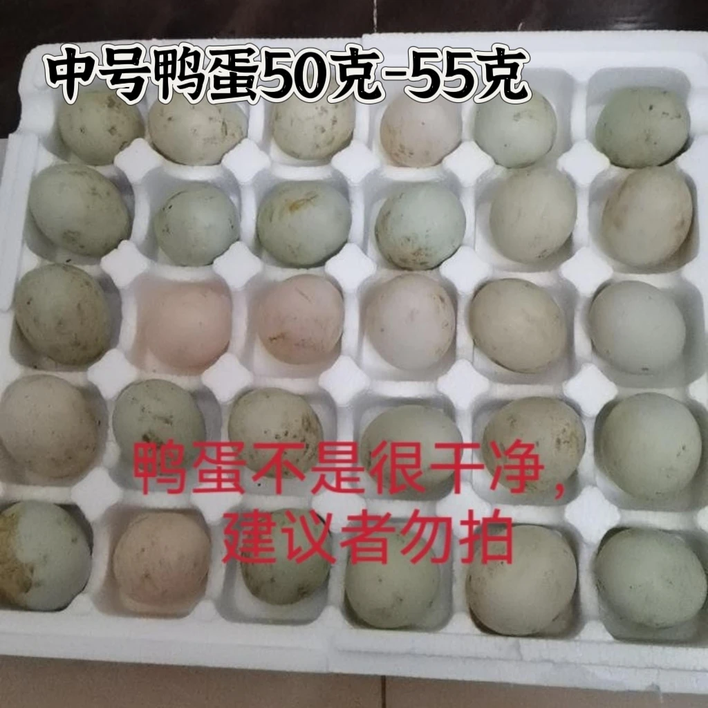 50克-55克鸭蛋土鸭蛋新鲜农家散养纯天然现捡现发 麻鸭鸭蛋