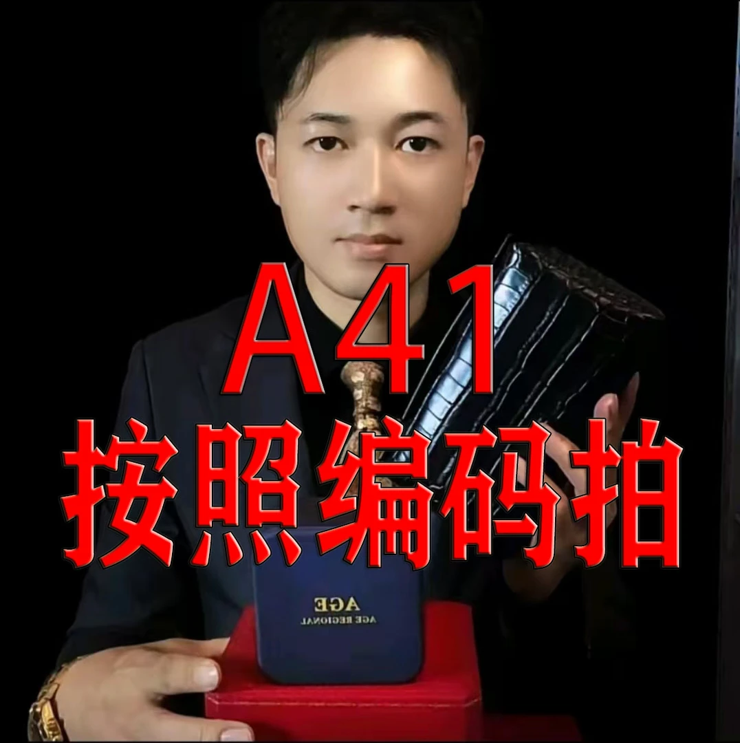 AGE（HK）Regional-A41-进口女包
