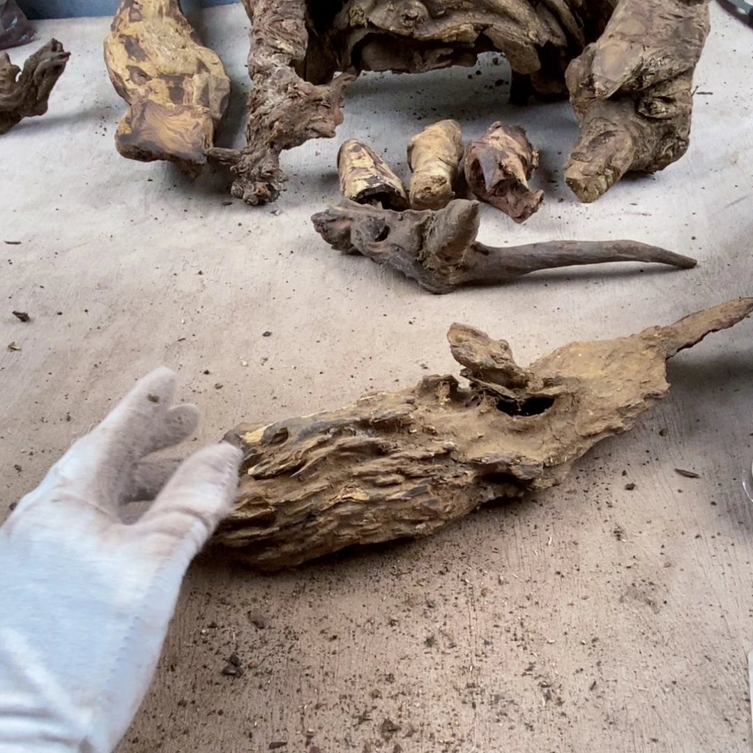 侯***石黄花梨/降香黄檀降香黄檀黄花梨