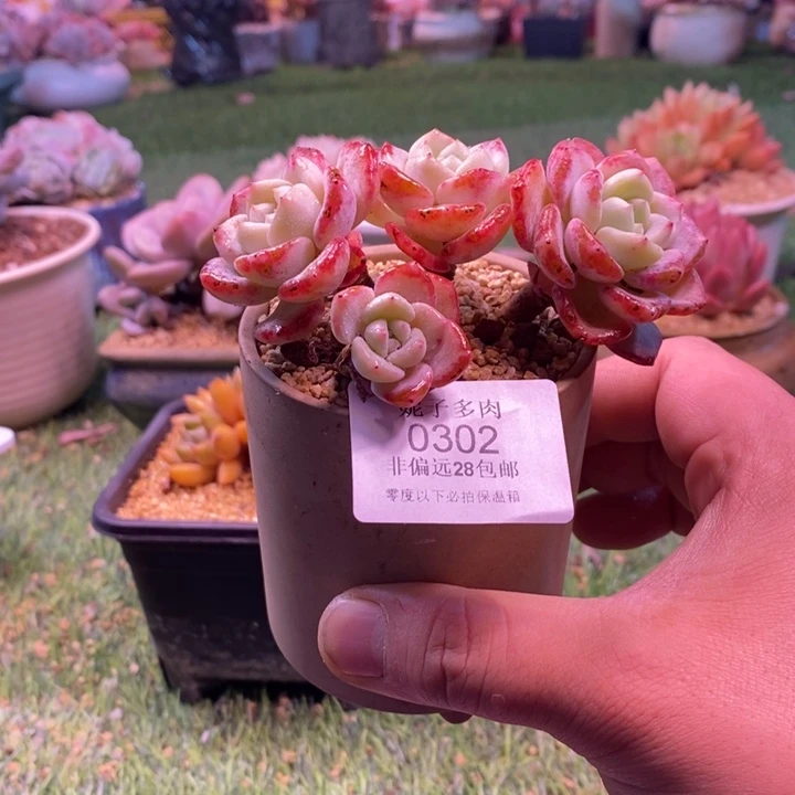 0302啊啊啊啊啊啊啊啊啊啊啊啊