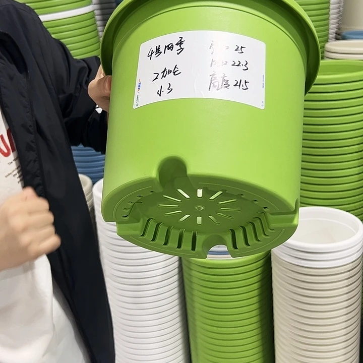 特价4号四季口25高21.5果绿无托8只