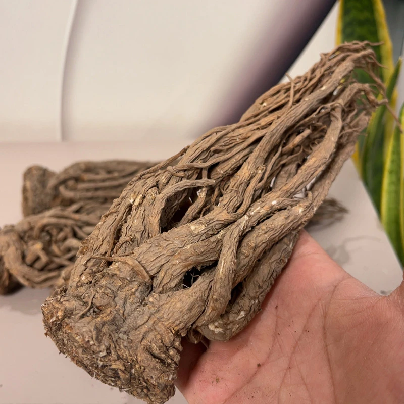 整根全当归甘肃岷县发货养生500g克正品特级无硫磺纯天然煮水煲汤