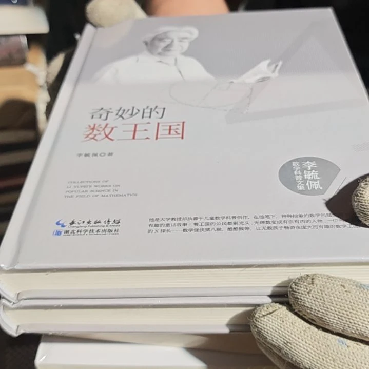 奇妙的数王国精装塑封