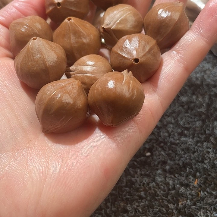 无***虑吊坠橄榄核2.1✖️2.4