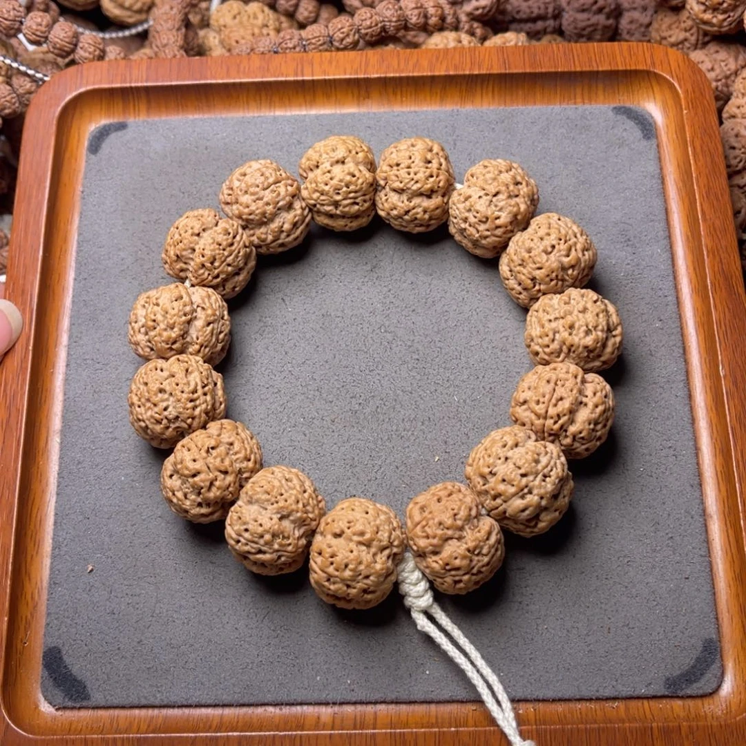 菩提籽类10号金刚菩提爆肉霸王花24