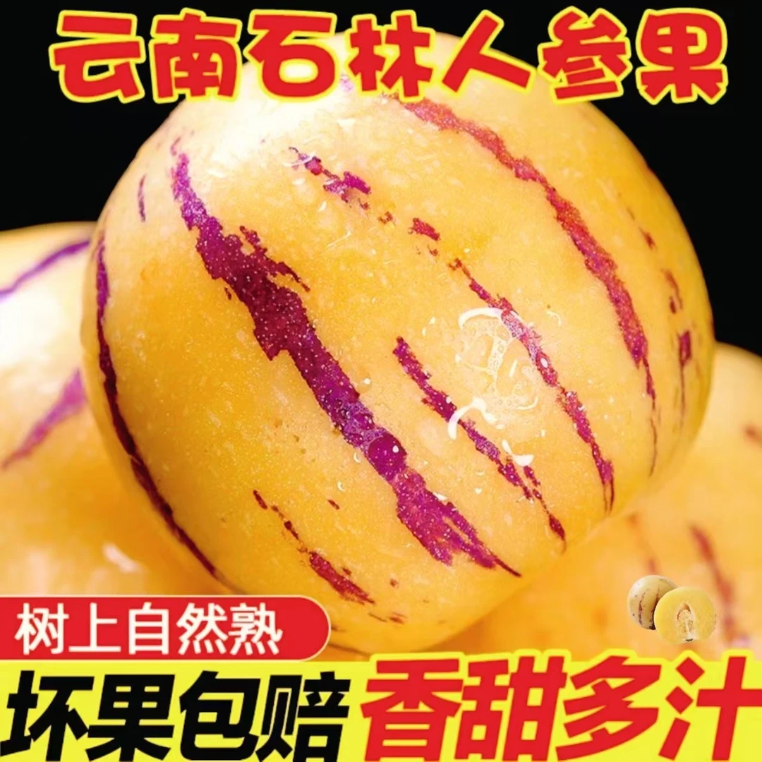 云南石林黄心人参果特大人参果多汁水果清甜正宗黄心石林人参果
