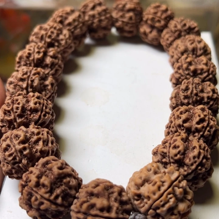 手串金刚菩提25古龙大梅花