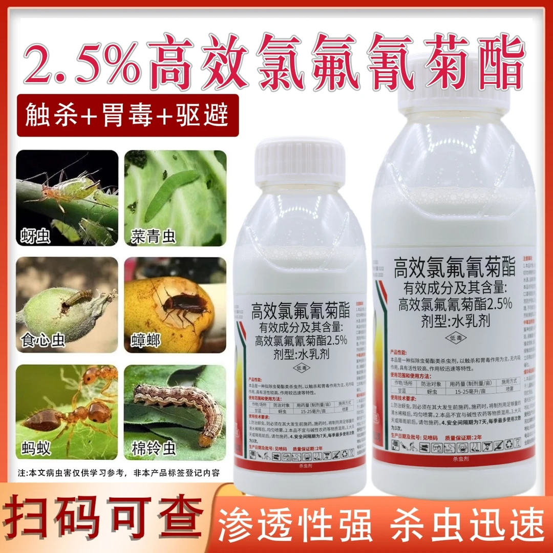 广谱性杀虫剂高效氯氟氰菊酯蔬菜花卉防治蚜虫小菜蛾菜青虫农药