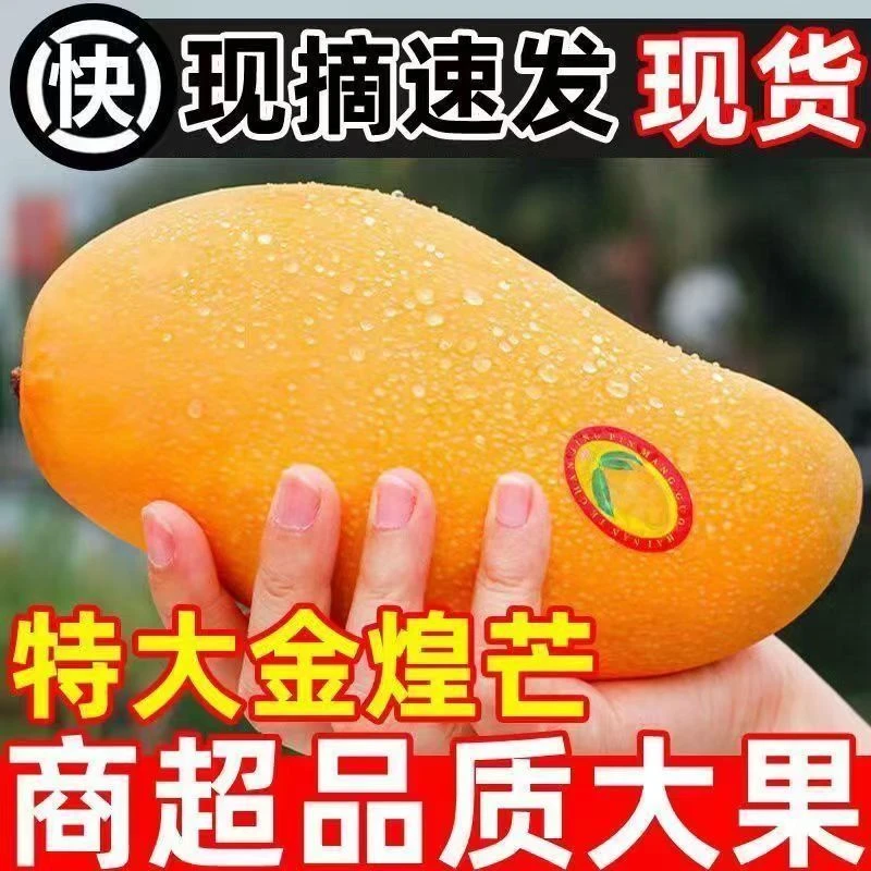 越南大青芒当季新鲜整箱大果爆甜青皮芒果奶茶蛋糕店批发整箱