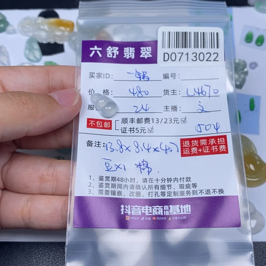 一***饭翡翠挂件未镶嵌D0713022