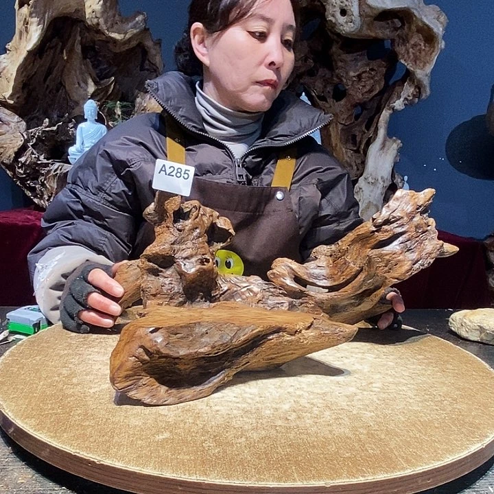 在*起285株木随行的小根艺