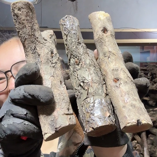 香榧木平****0火琉璃的毛料摆件