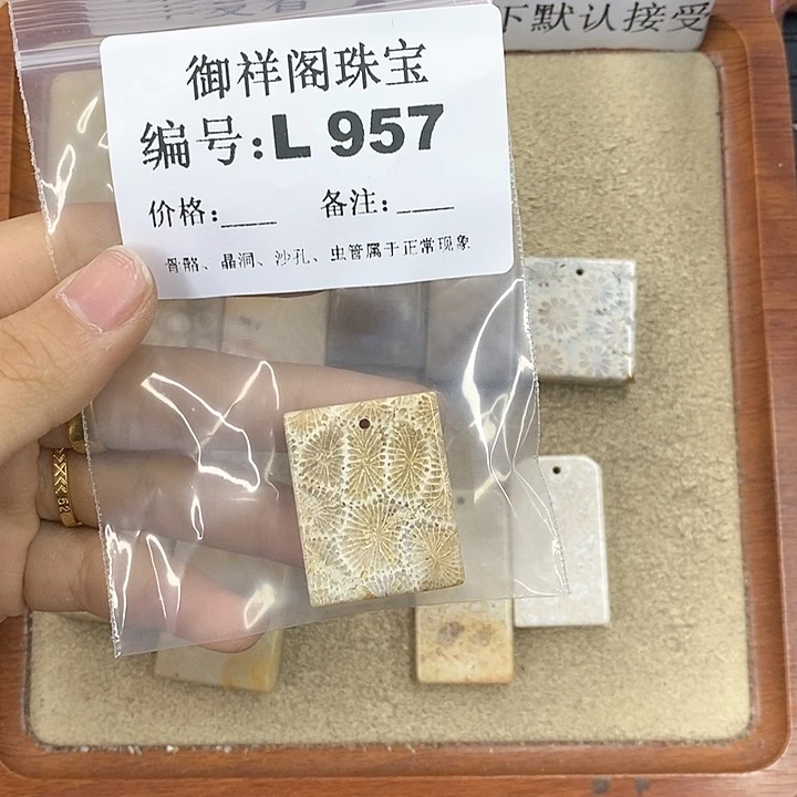 硅化珊瑚（珊瑚玉）颈饰未镶嵌平*人