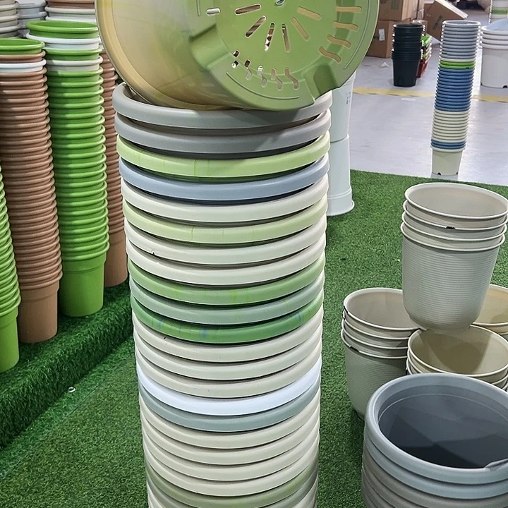 微瑕7号四季口33高33串色无托6只