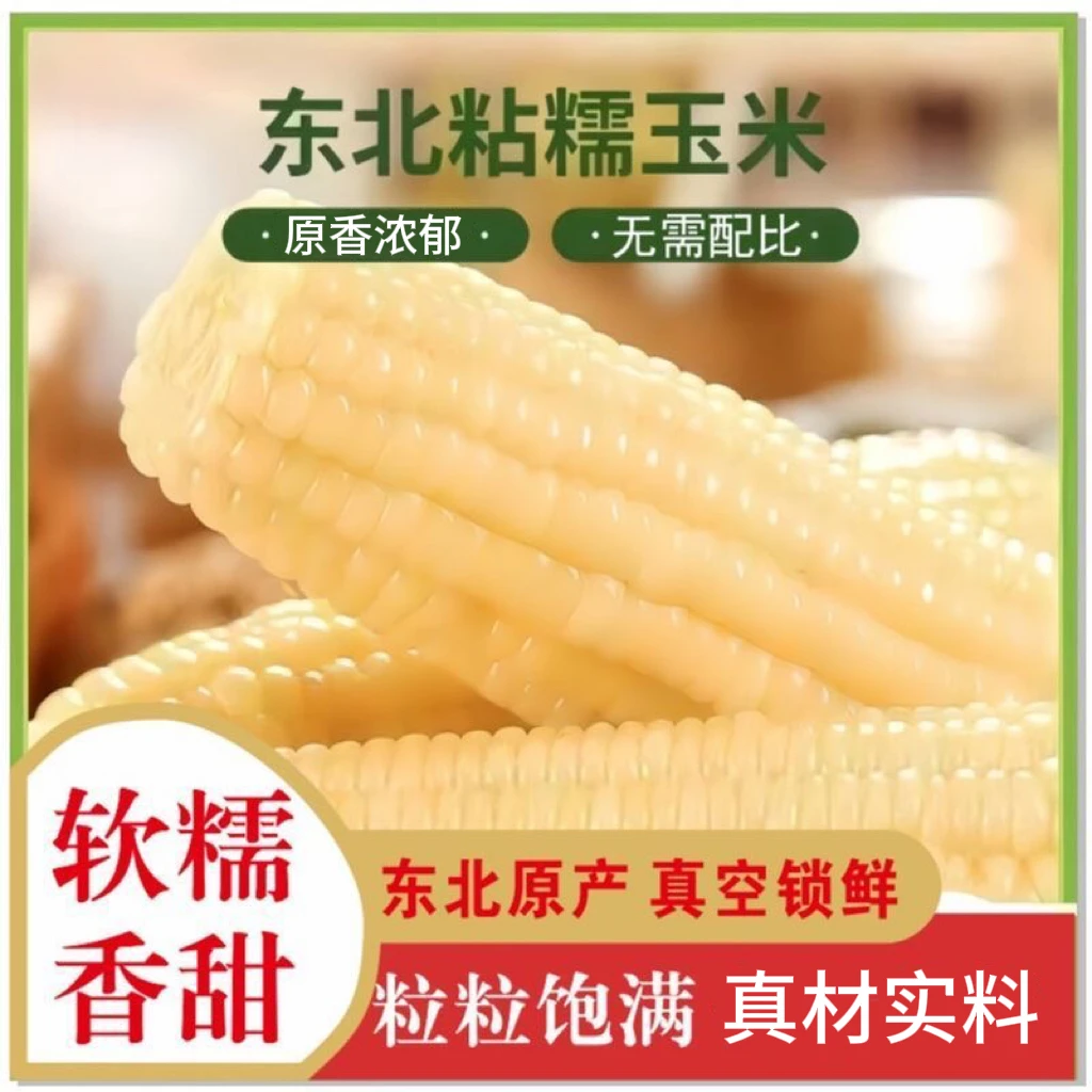【试吃两根】今年白糯玉米软糯香甜共10支整箱5-5.5斤