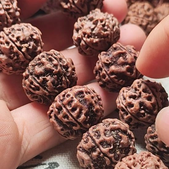 双***️吊坠金刚菩提金刚菩提手串