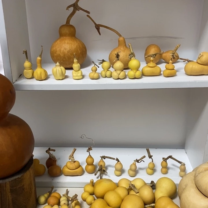 威***咖发发发发反反复复方法