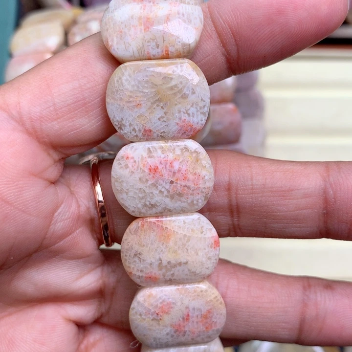 硅化珊瑚（珊瑚玉）未镶嵌颈饰