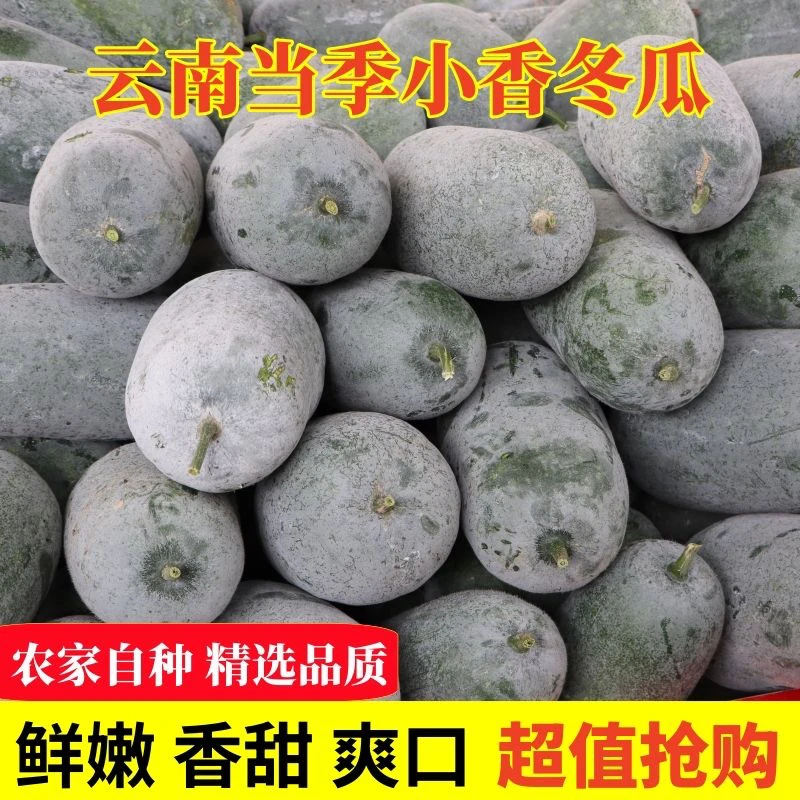 顺丰包邮云南小香冬瓜迷你冬瓜挂霜冬瓜新鲜冬瓜煲汤水果冬瓜