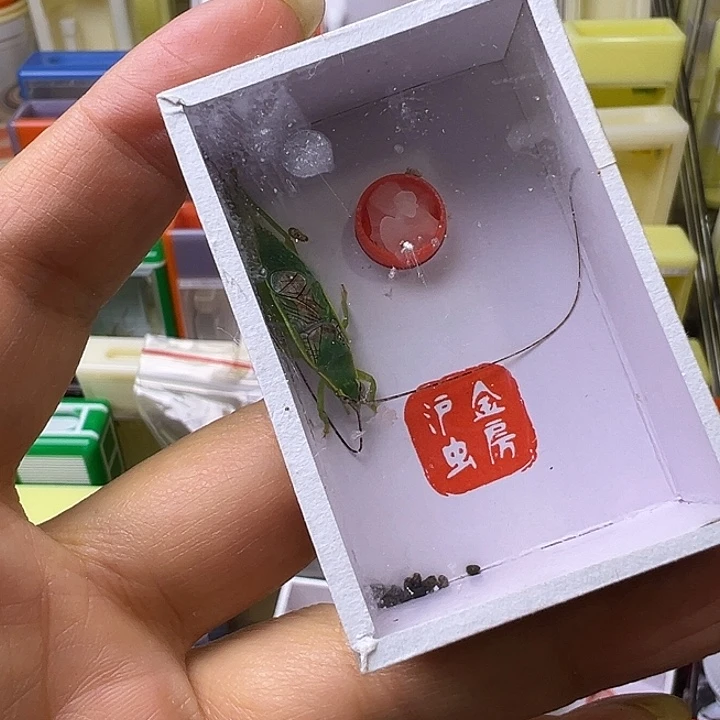 C***L哈哈哈哈哈哈哈哈哈哈哈