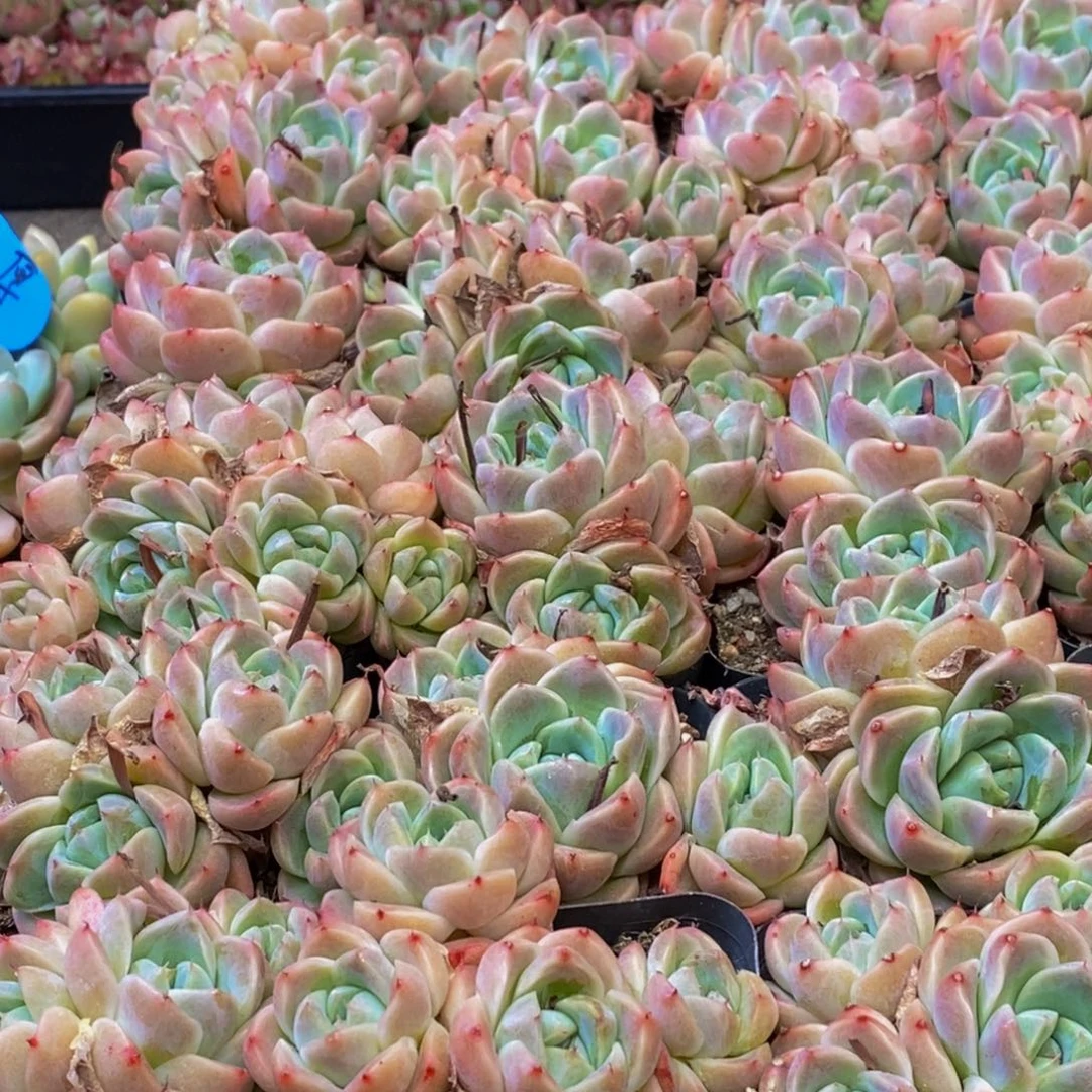 994的人在一起的时候我