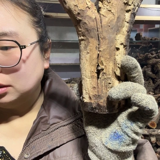 香榧木小***?火琉璃的故事毛料摆件