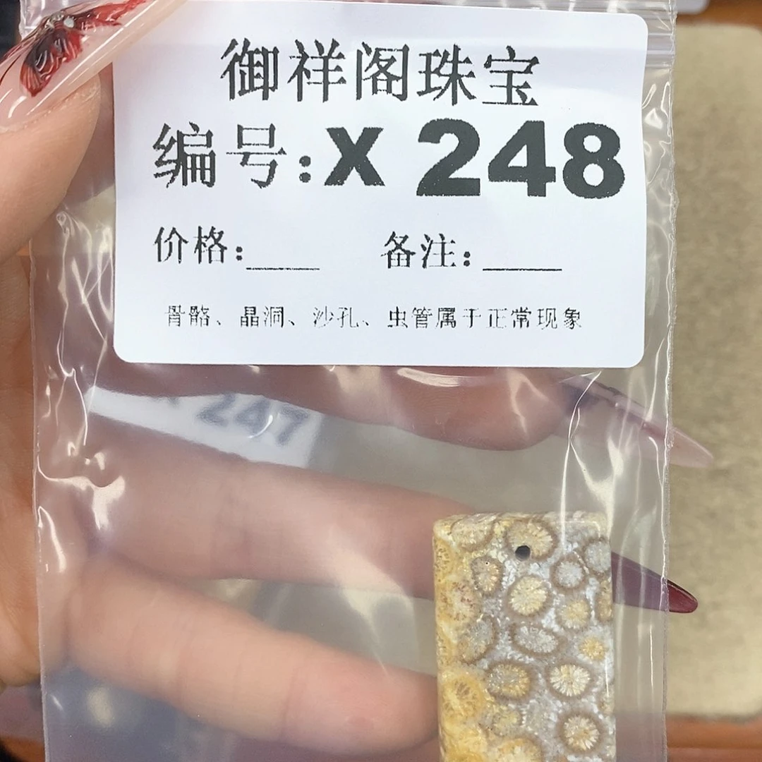 硅化珊瑚（珊瑚玉）颈饰未镶嵌夜**瞳