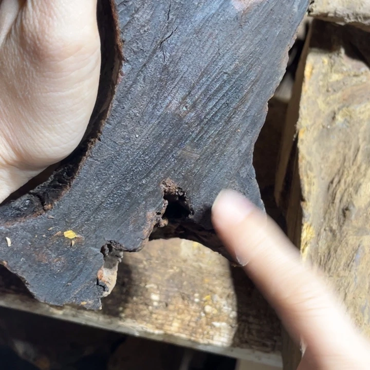 ꧁***꧂贡木手串感谢大家