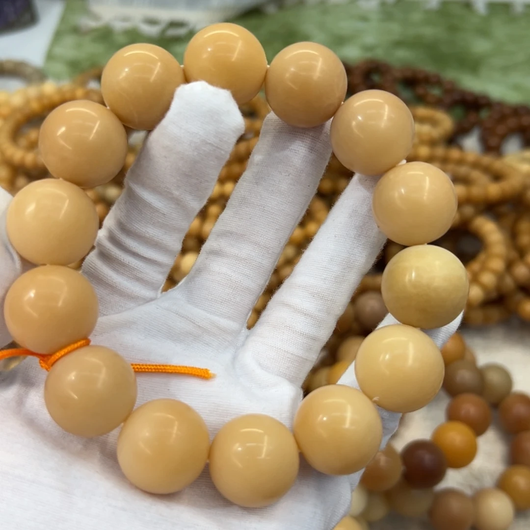 吊坠菩提根/象牙果20瑕疵落地果958