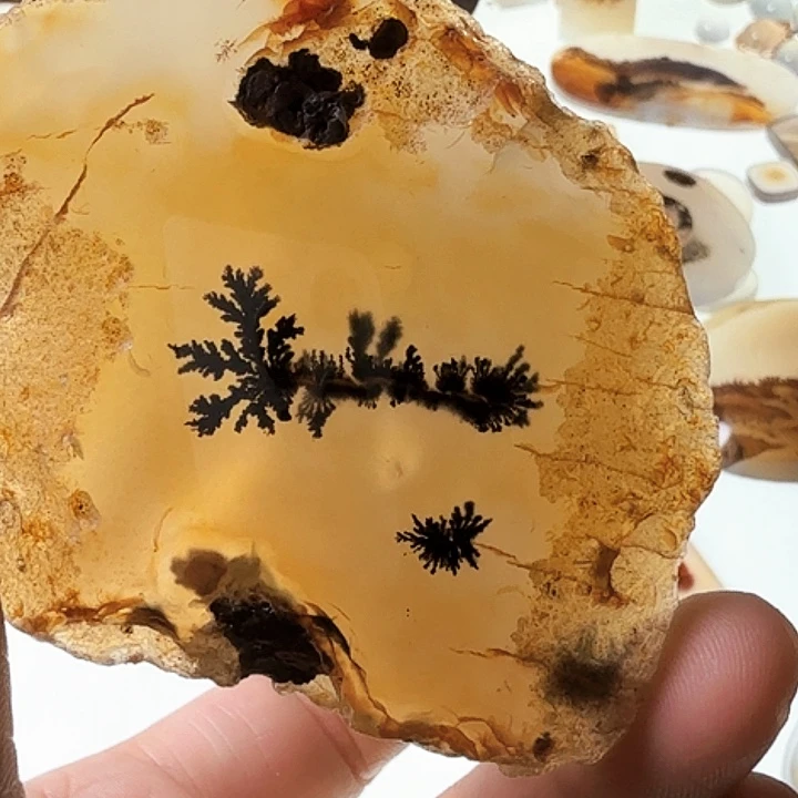 赵***.未镶嵌玛瑙/玉髓珠宝半成品