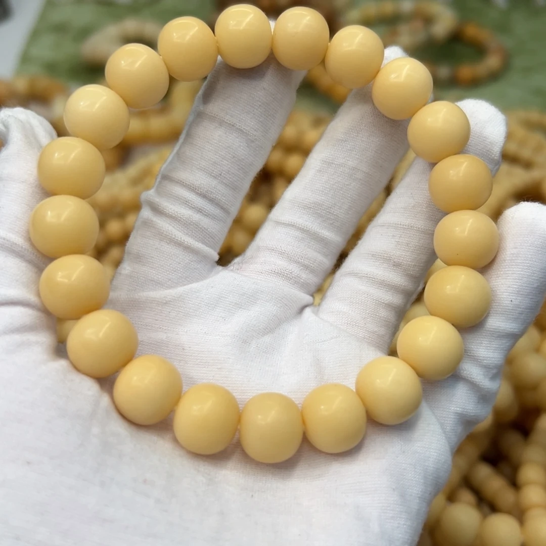 吊坠菩提根/象牙果13干磨树王593