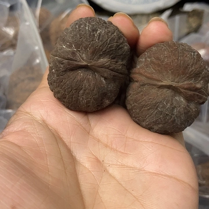把件文玩核桃云南铁核桃基地13