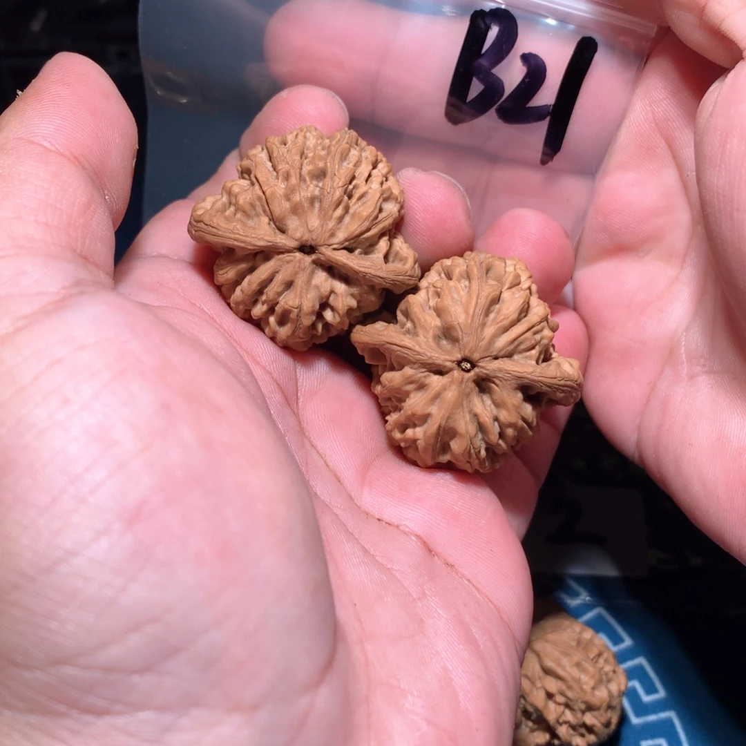 文玩核桃吊坠平*四眼虎 b21