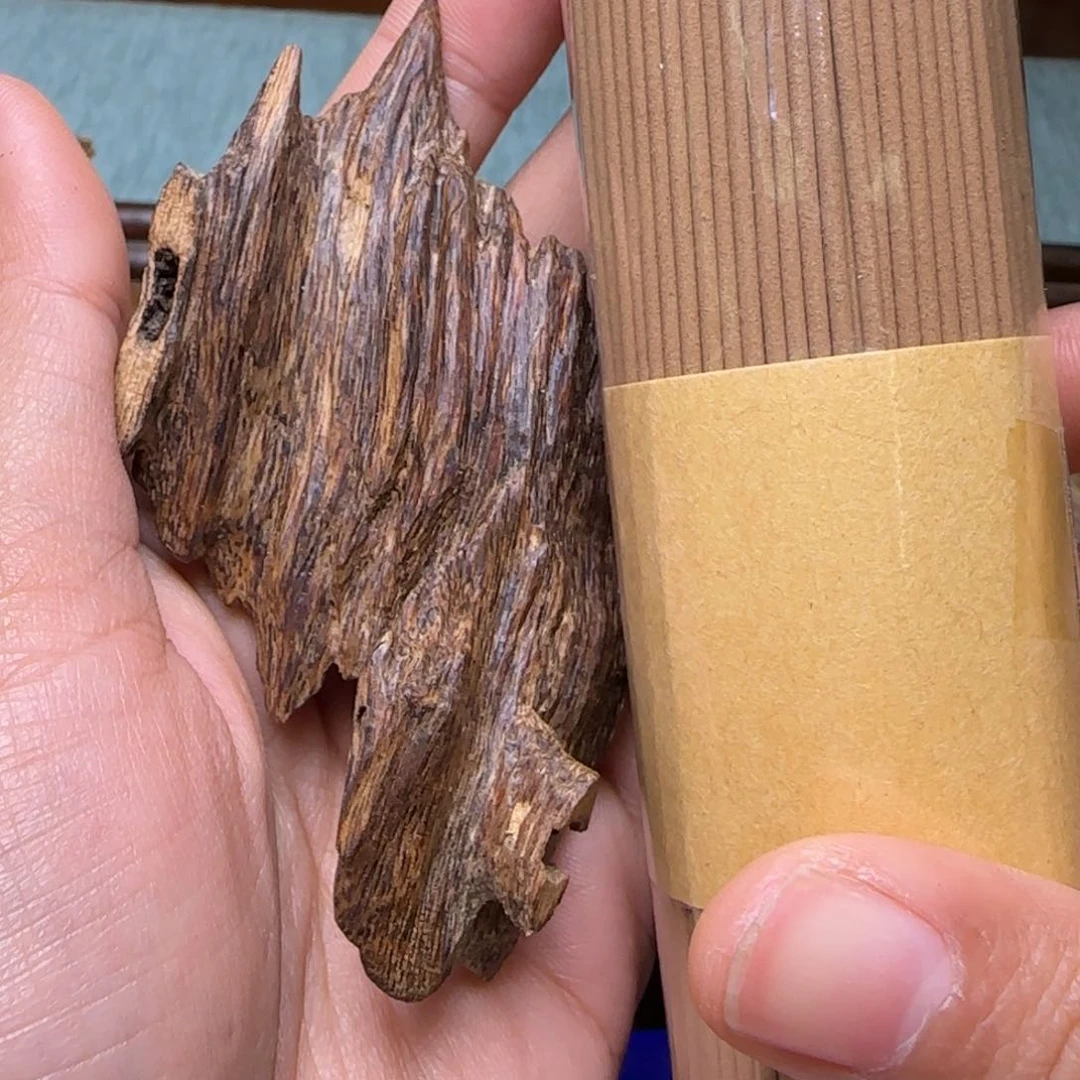 海南天然野琼海虫漏10.8克重