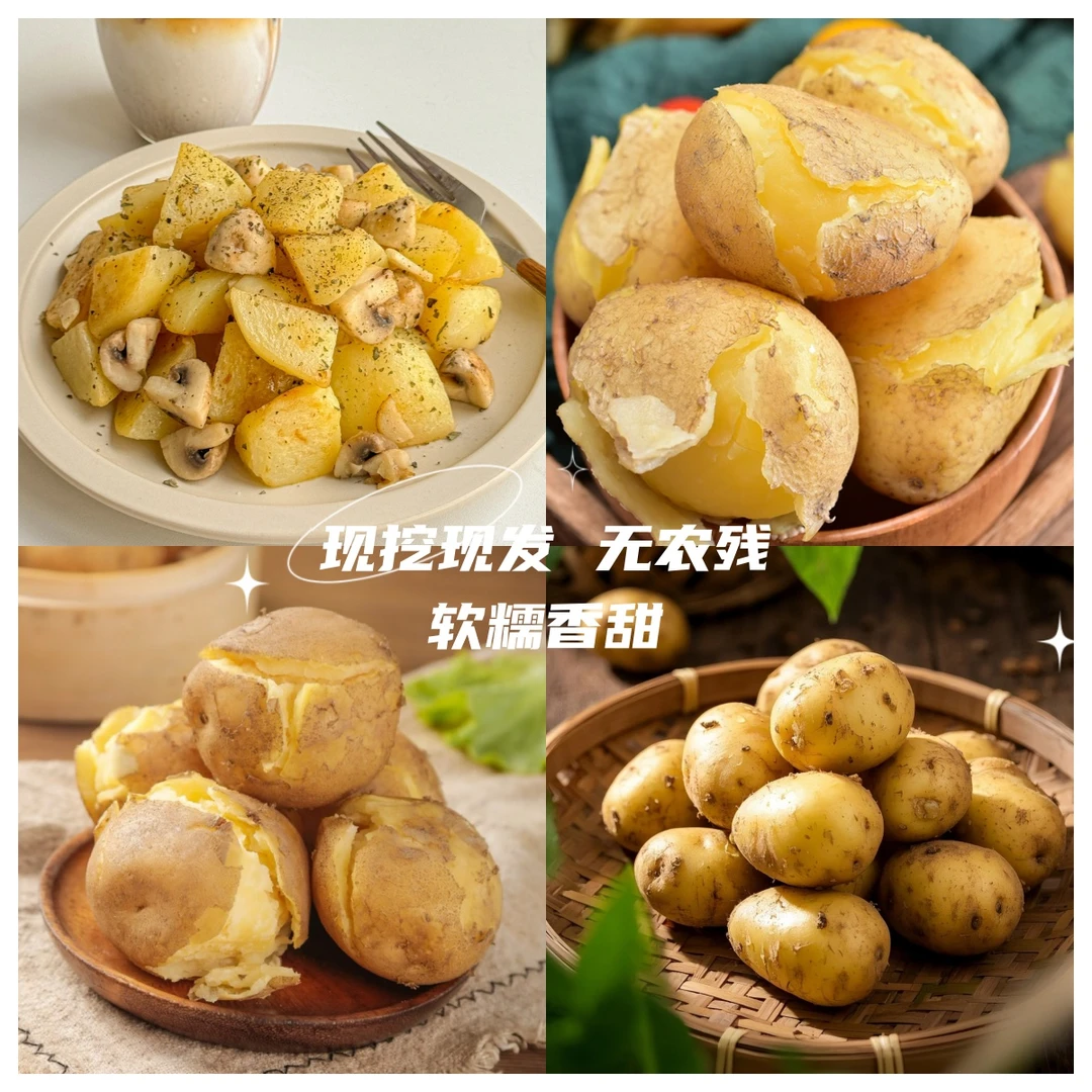 山东黄皮迷你小土豆现挖正宗新鲜黄心土豆当季蔬菜整箱迷你马铃薯