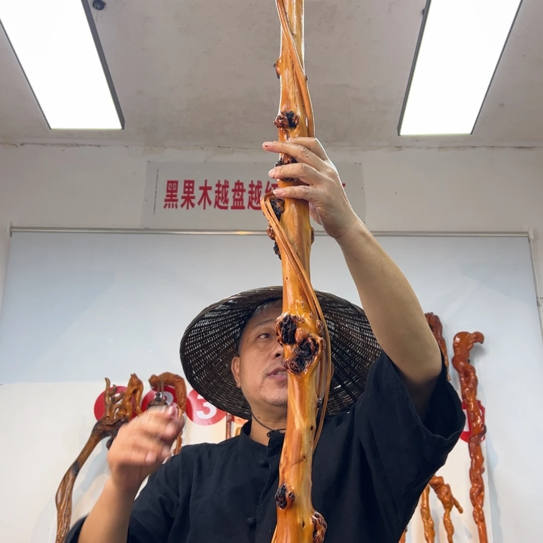 其他黑果木黑果木616