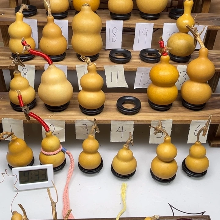 木***槿啦啦啦啦啦啦啦啦啦啦啦