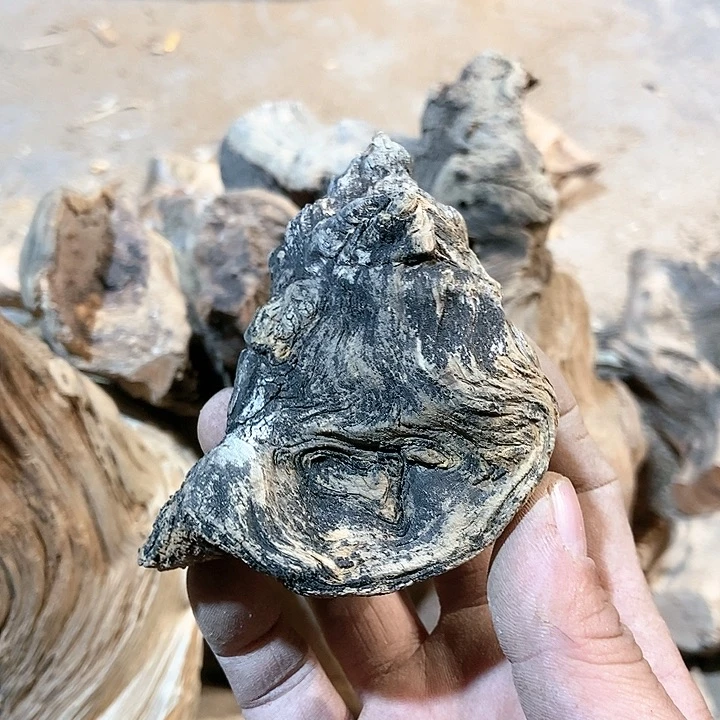 柏木陶**猪太行山区柏木木木