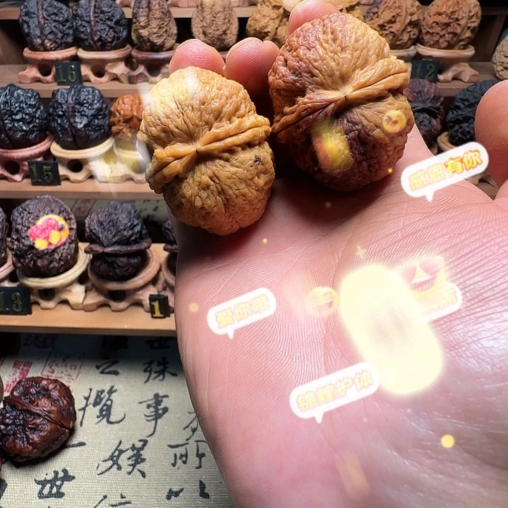 粗筋寿星头44尺寸