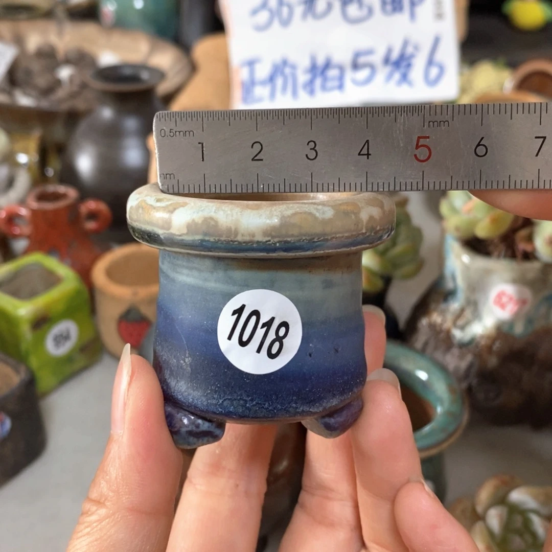 拍5送一个小礼物