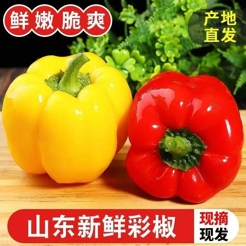 【京东冷链】山东寿光水果五彩椒现摘现发应季新鲜蔬菜水果木子李