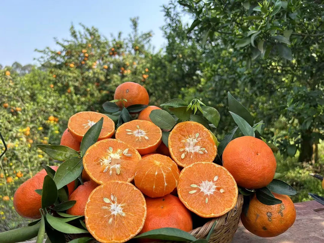 唐老表 赶集专用链接 农村山货土货 蔬菜水果