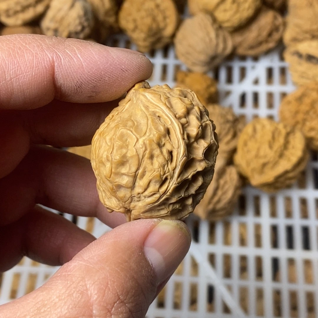 治***馆吊坠文玩核桃文玩
