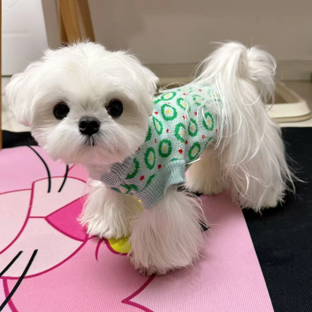 5折清仓 新款宠物狗狗猫咪日系毛衣比熊马尔济斯弹力衣服