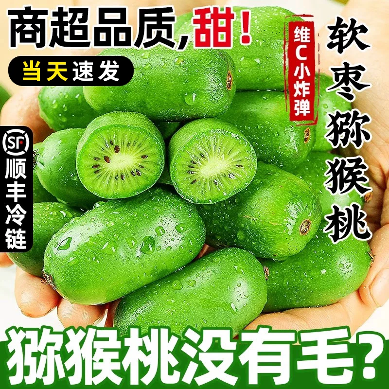 【顺丰包邮】丹东软枣猕猴桃小猕猴桃新鲜当季水果奇异果莓东北软枣