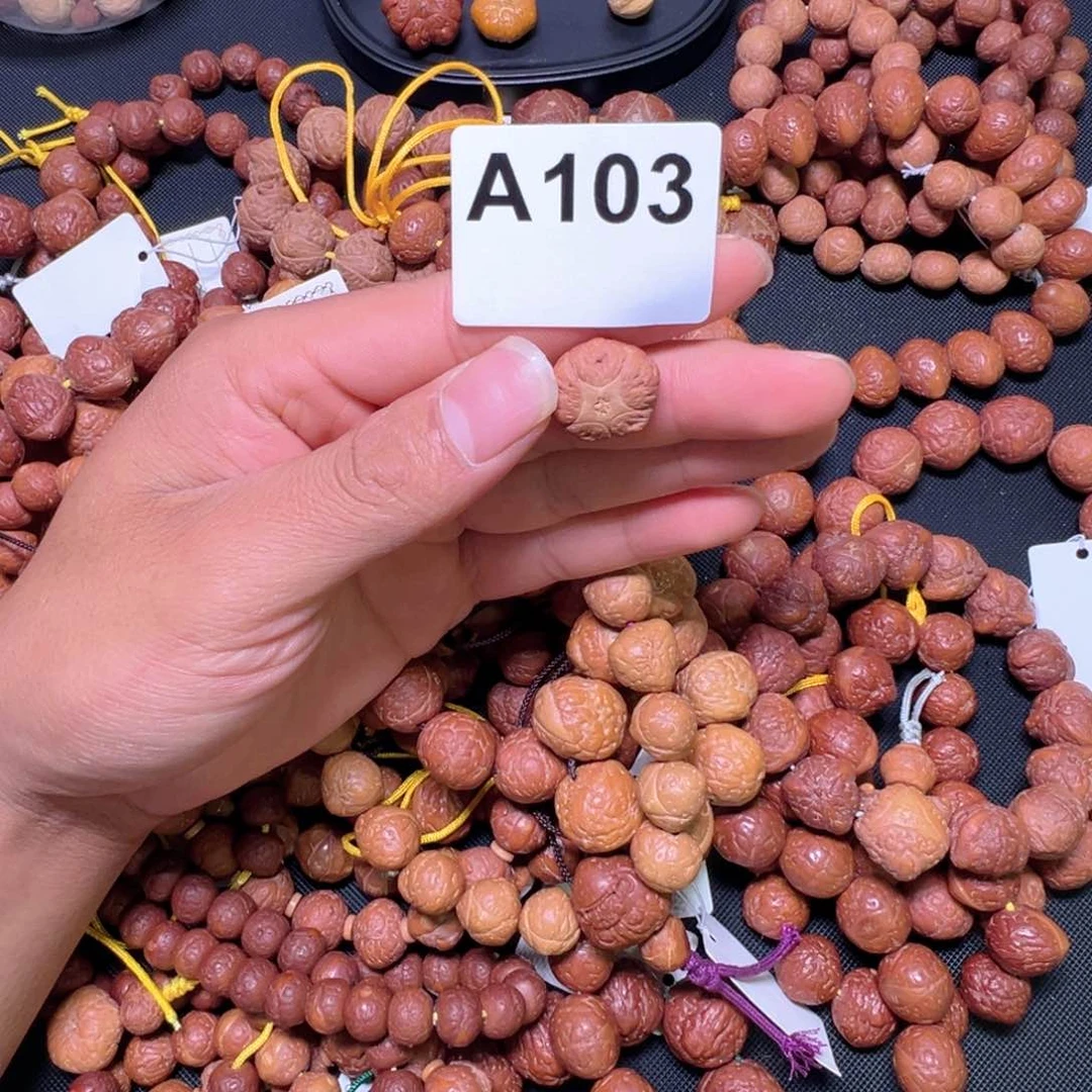 龙脊菩提手串五星