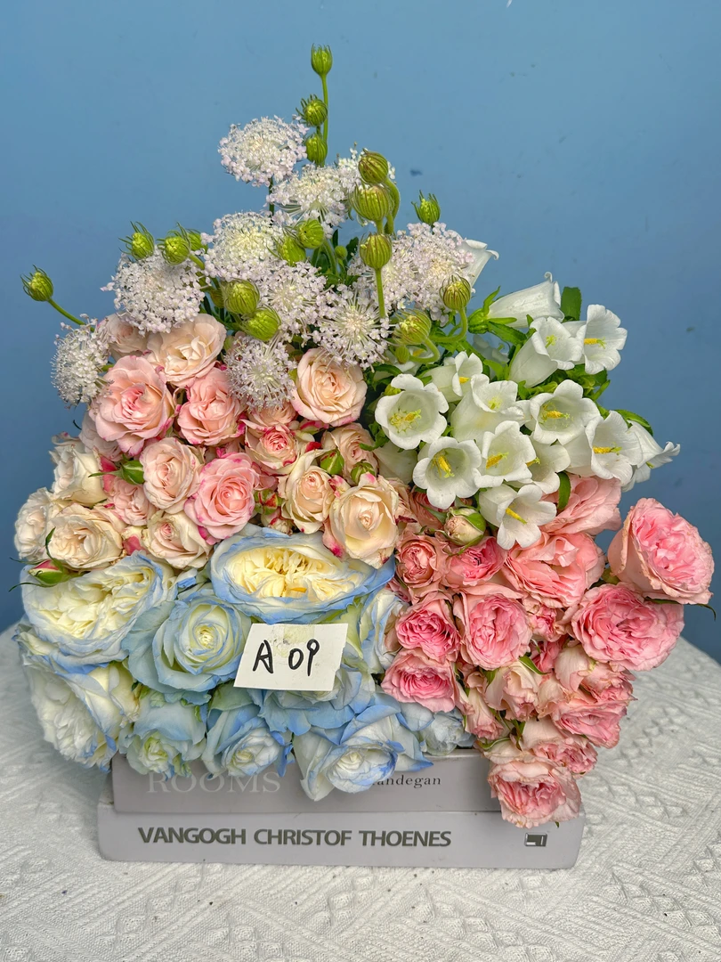 【福利套餐】  福利套餐A09   云南基地直发鲜花  家养  水养