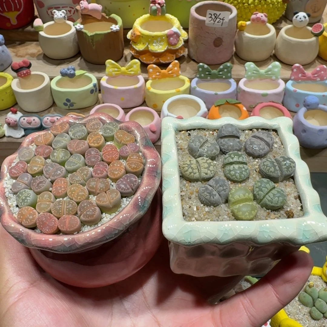 乐***乐蘑菇1352花花花花花花